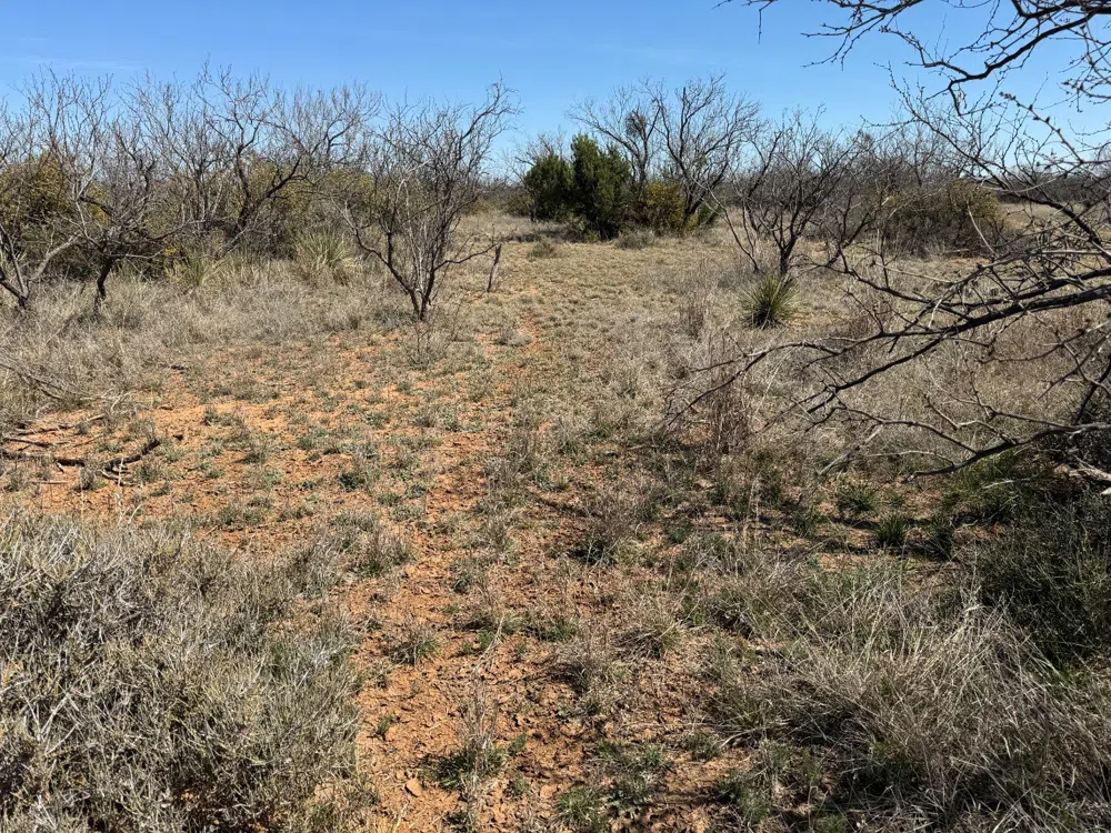 County Road 355 Post, TX 