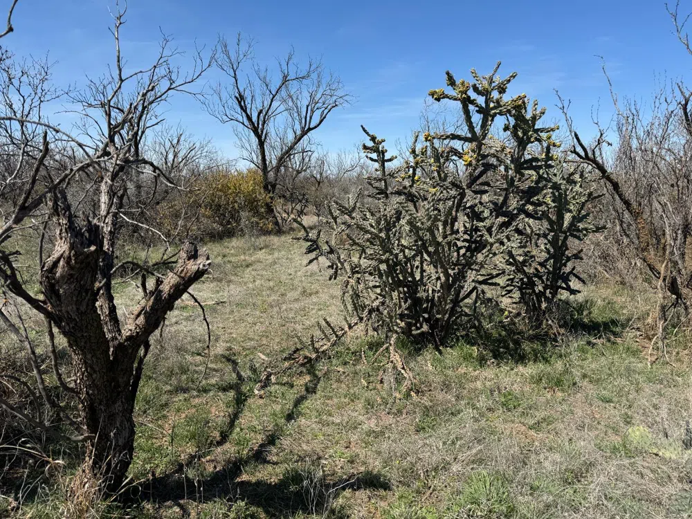 County Road 355 Post, TX 