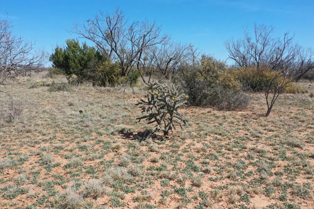 County Road 355 Post, TX 