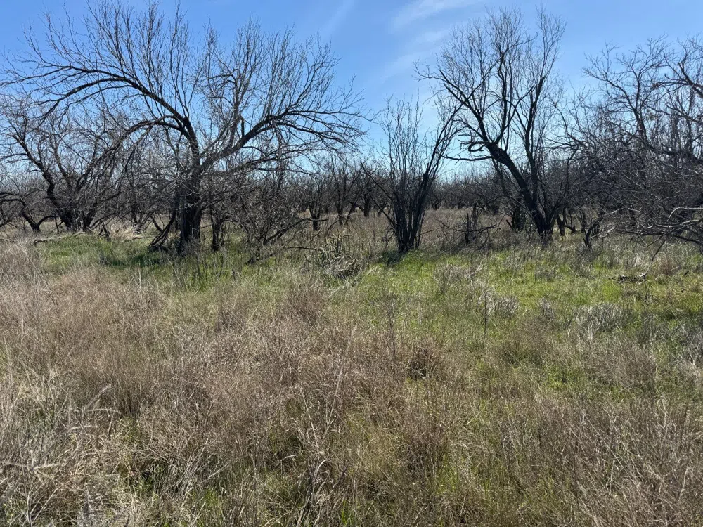 County Road 355 Post, TX 