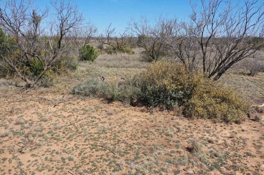 County Road 355 Post, TX 