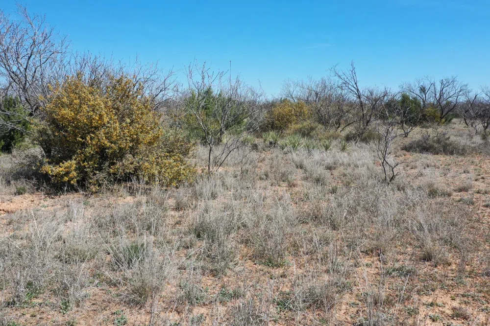 County Road 355 Post, TX 