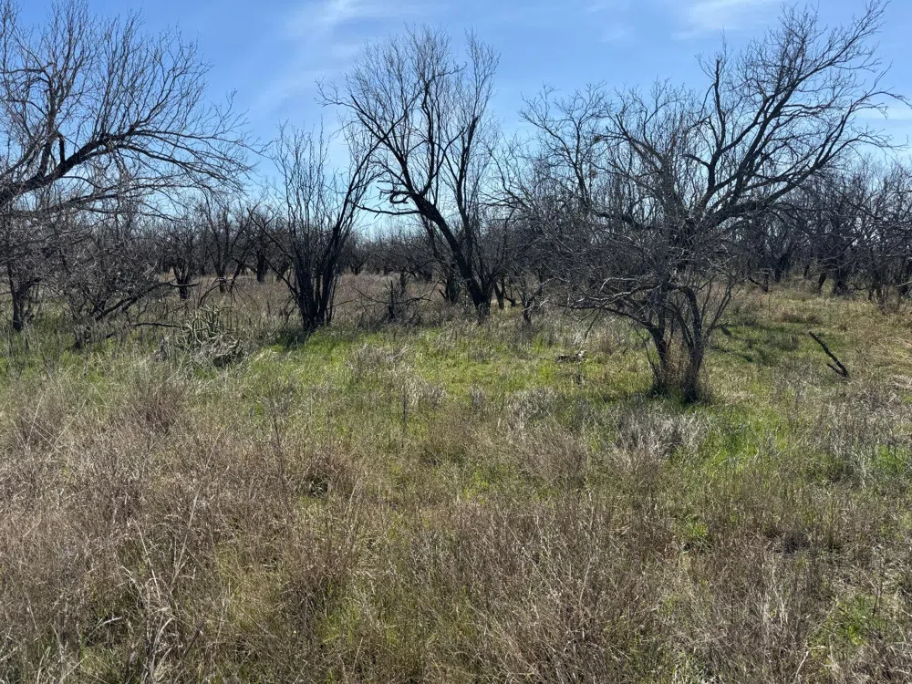 County Road 355 Post, TX 