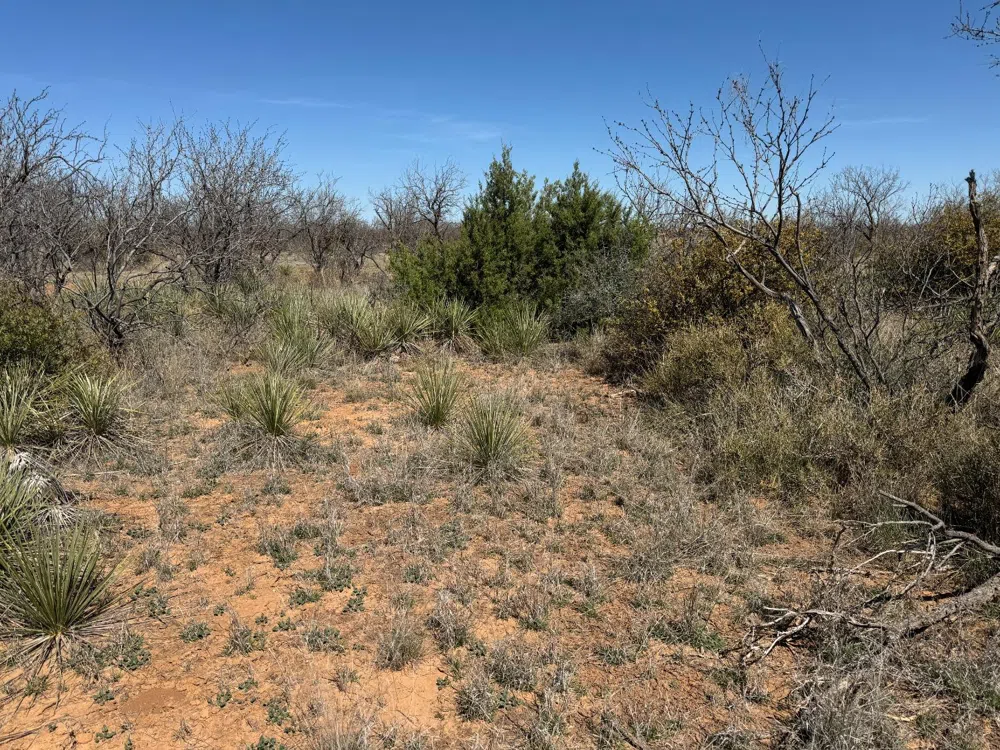 County Road 355 Post, TX 