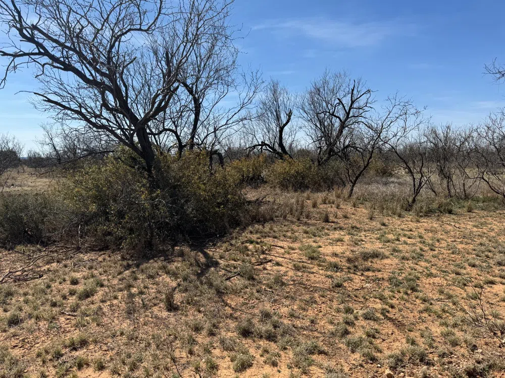 County Road 355 Post, TX 