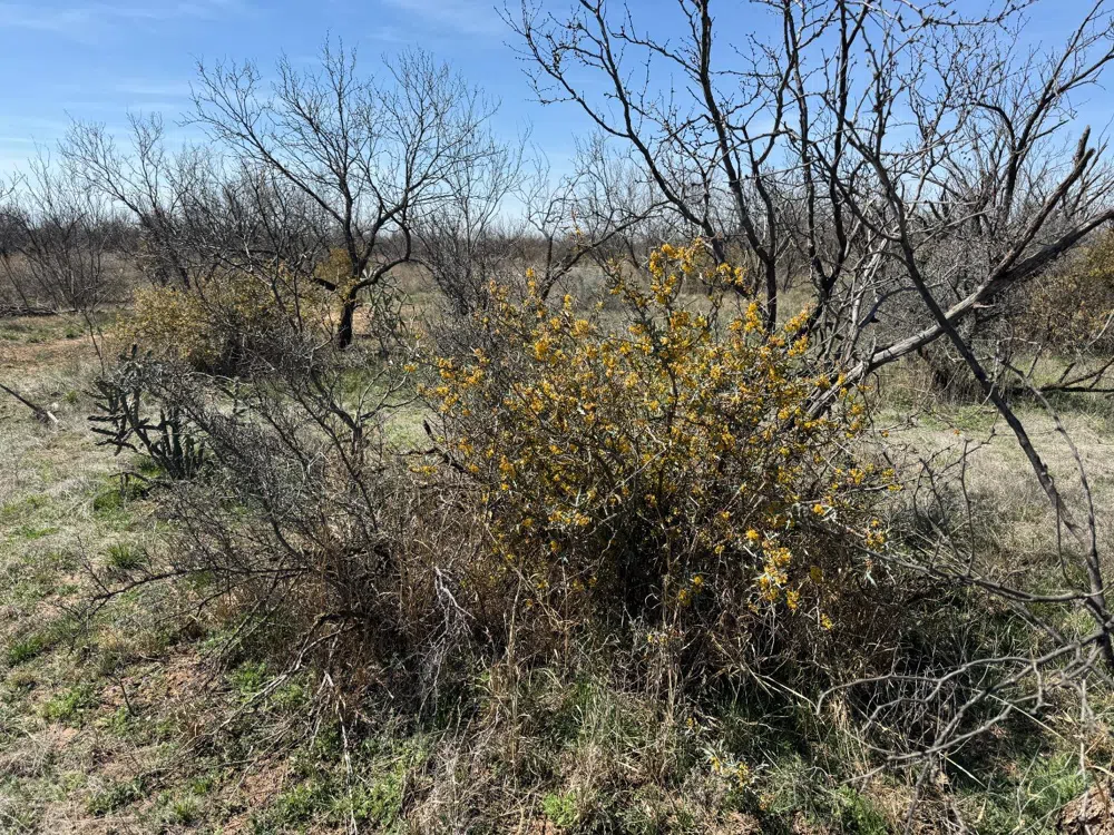 County Road 355 Post, TX 