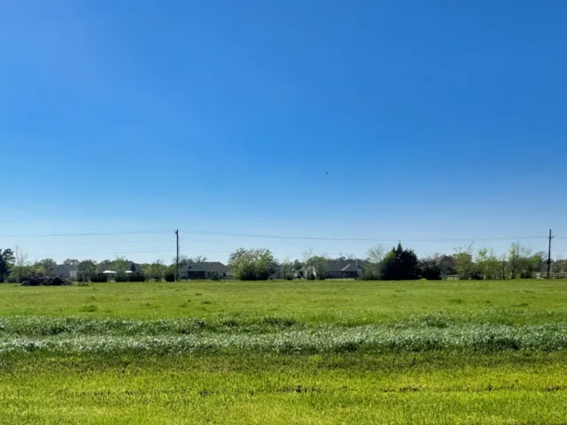 9891 Panther Creek Drive Iola, TX 77861