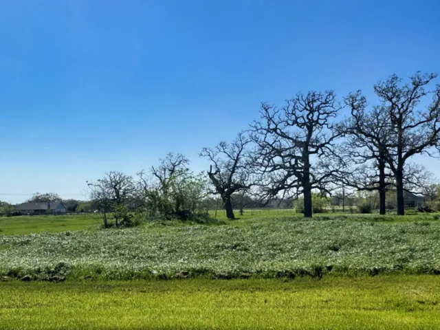 9993 Panther Creek Drive Iola, TX 77861