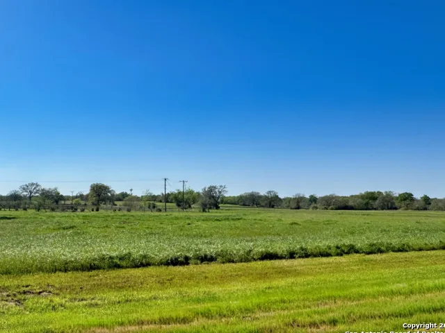 10045 Panther Creek Drive Iola, TX 77861
