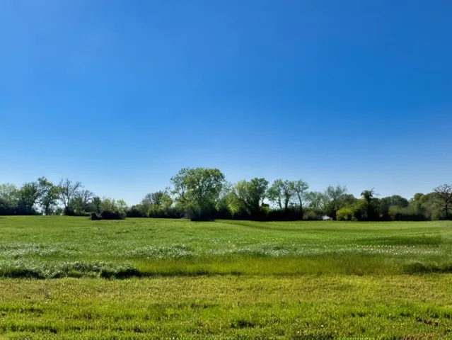 LOT 37 Panther Ridge Drive Iola, TX 77861