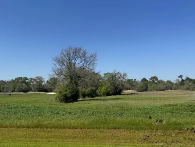 9956 Panther Ridge Drive Iola, TX 77861