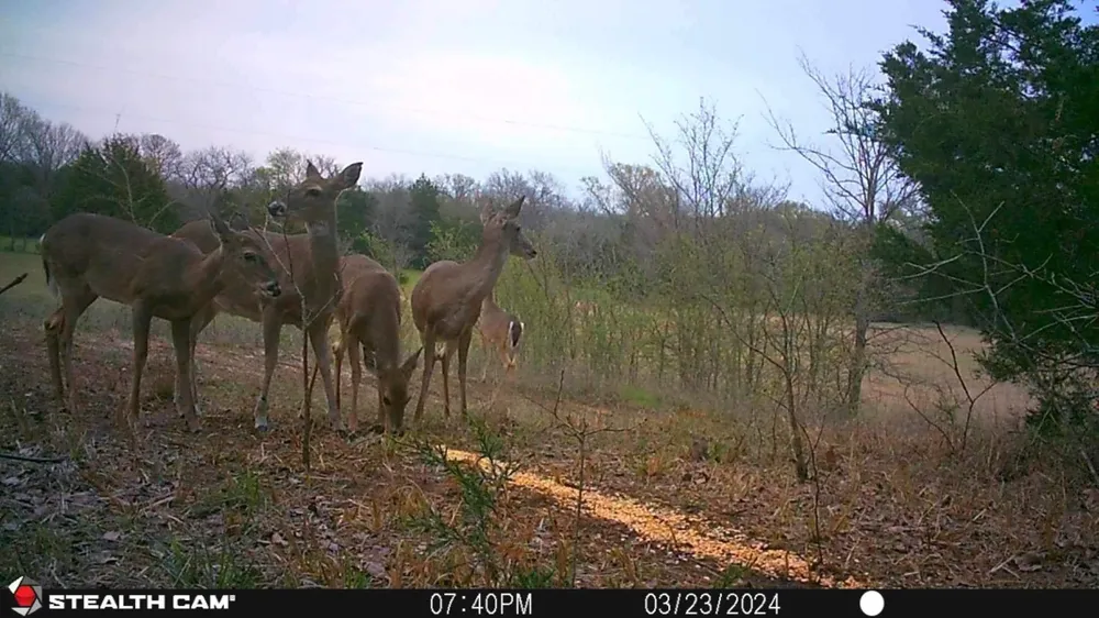 3285 Roland Road Whitesboro, TX 76273