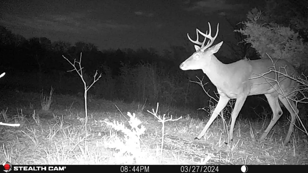 3285 Roland Road Whitesboro, TX 76273