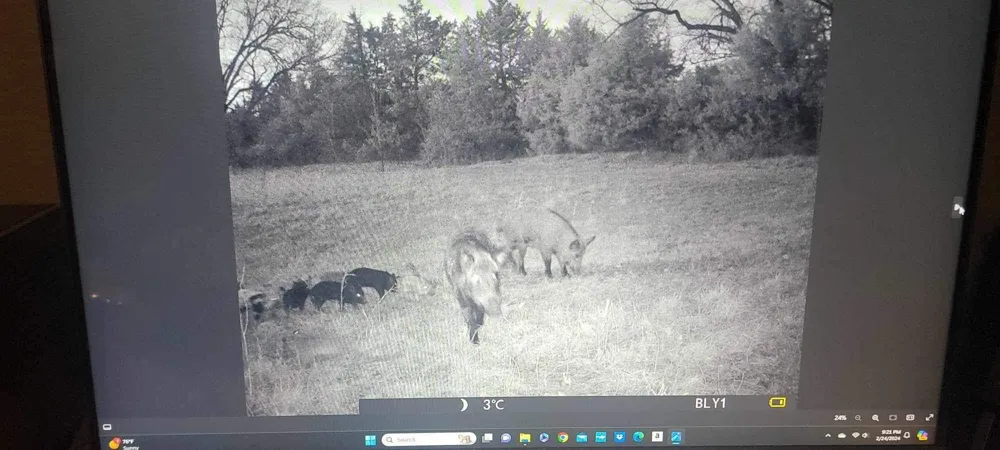 3285 Roland Road Whitesboro, TX 76273