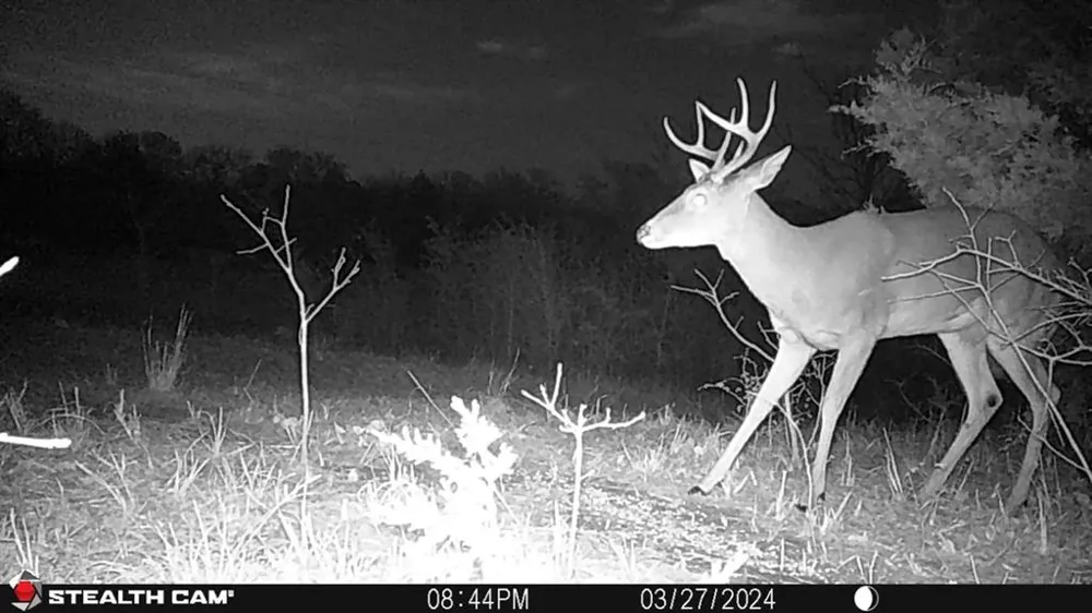3285 Roland Road Whitesboro, TX 76273