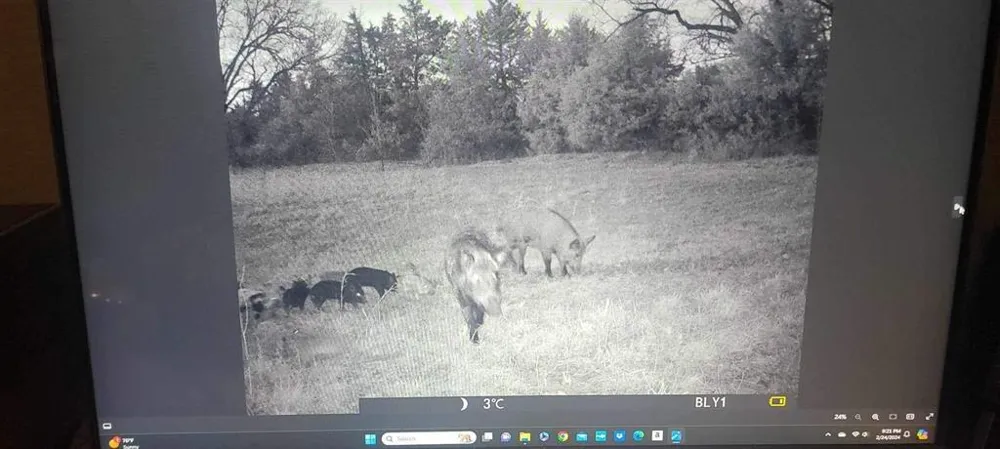 3285 Roland Road Whitesboro, TX 76273