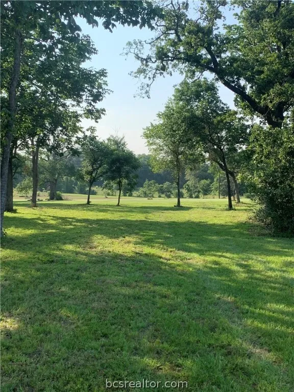 10256 Henley Cove Iola, TX 77861