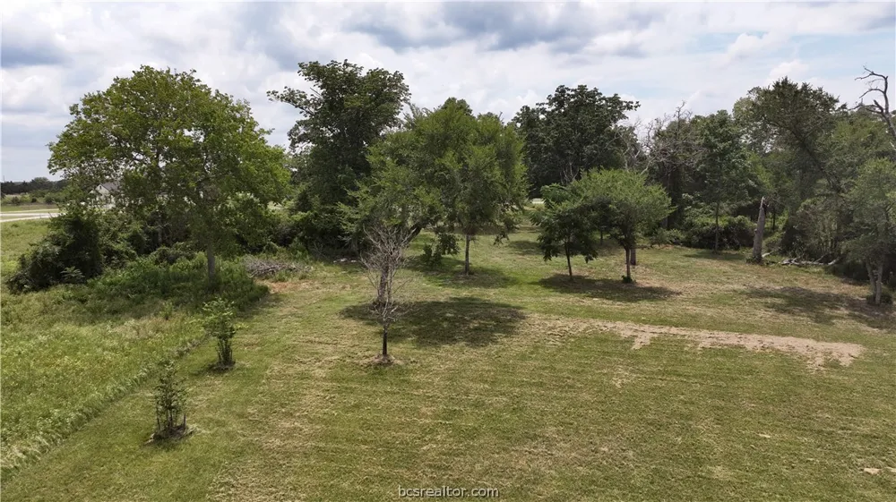 10256 Henley Cove Iola, TX 77861