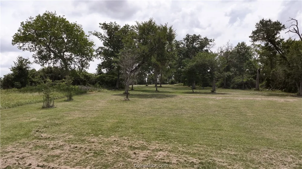 10256 Henley Cove Iola, TX 77861