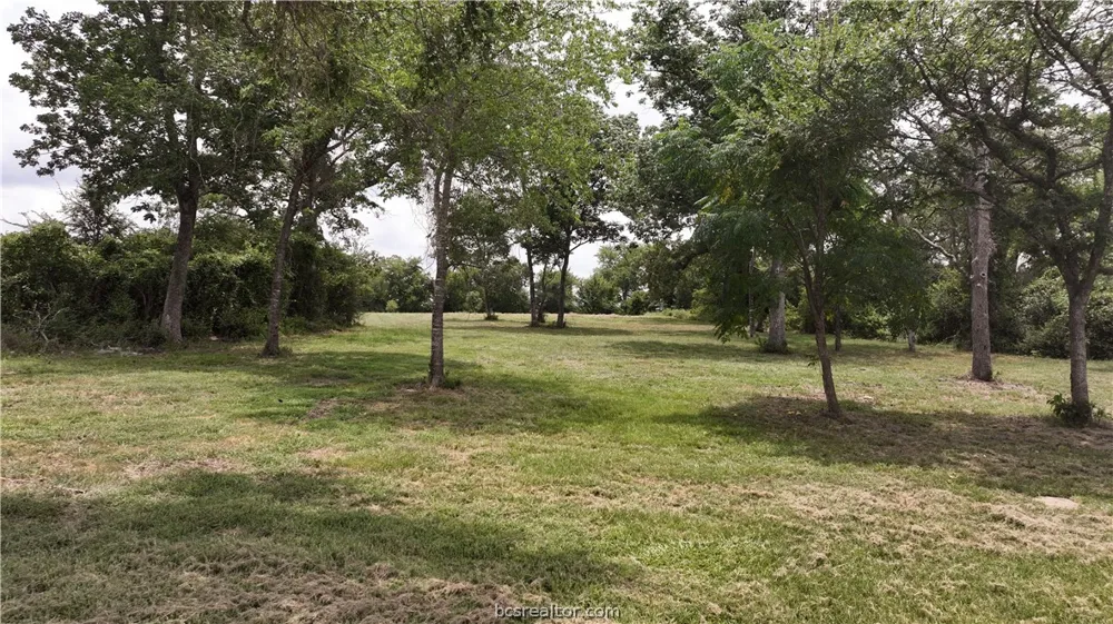 10256 Henley Cove Iola, TX 77861
