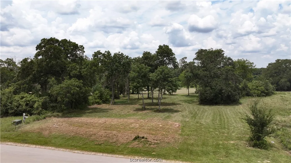 10256 Henley Cove Iola, TX 77861