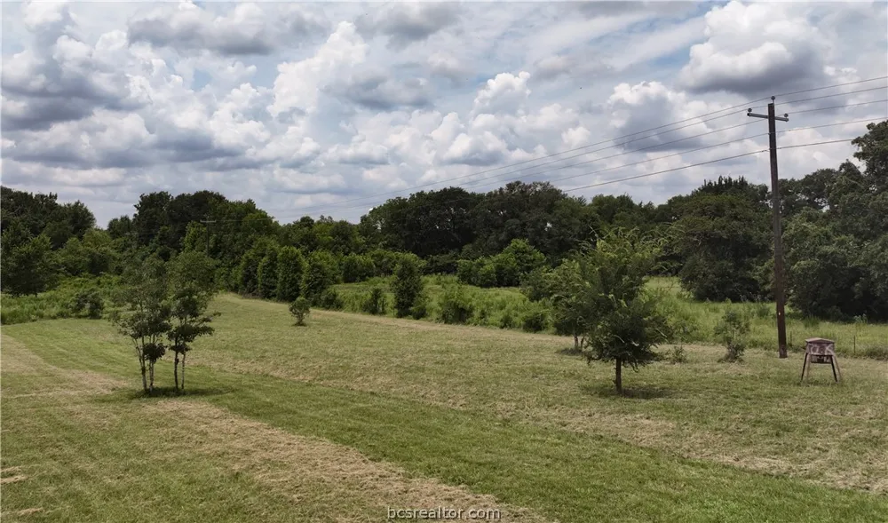 10256 Henley Cove Iola, TX 77861
