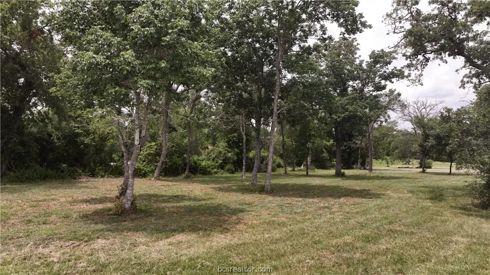10256 Henley Cove Iola, TX 77861