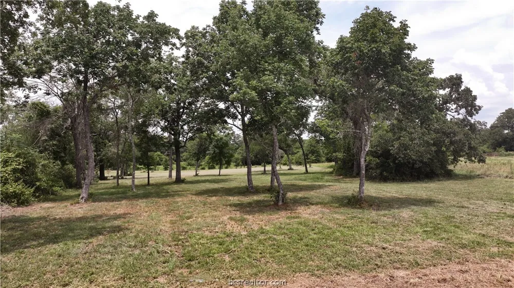 10256 Henley Cove Iola, TX 77861