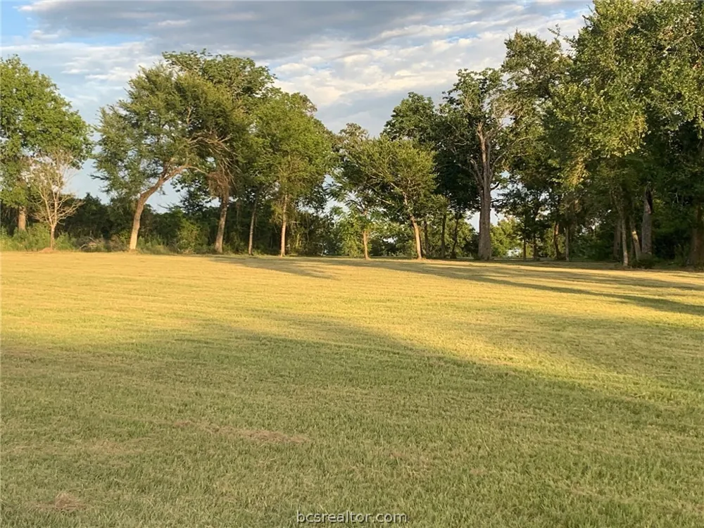 10256 Henley Cove Iola, TX 77861