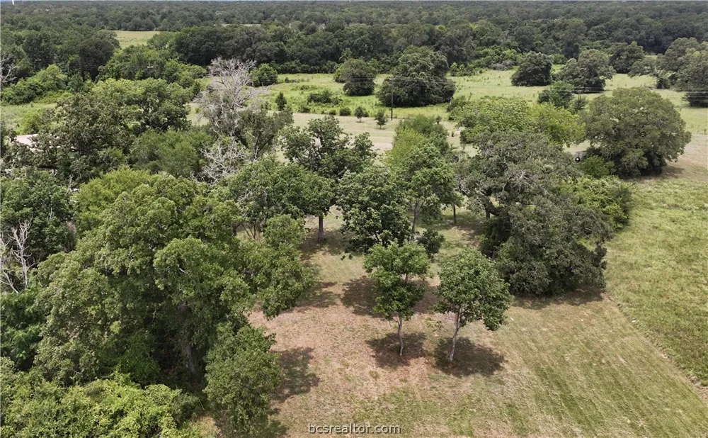 10256 Henley Cove Iola, TX 77861