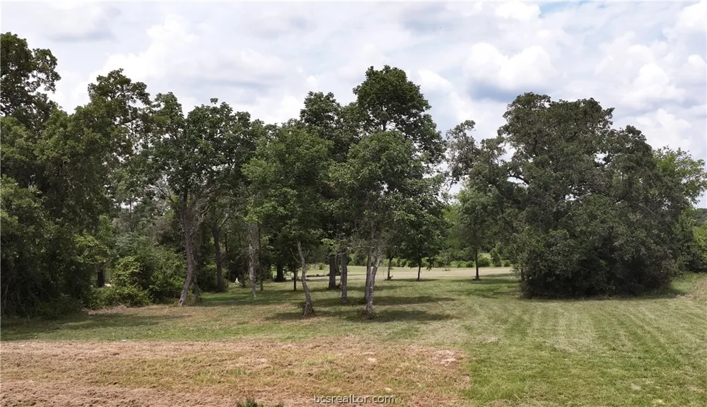 10256 Henley Cove Iola, TX 77861