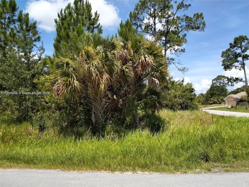 Ocean Ave SW Palm Bay, FL 32908