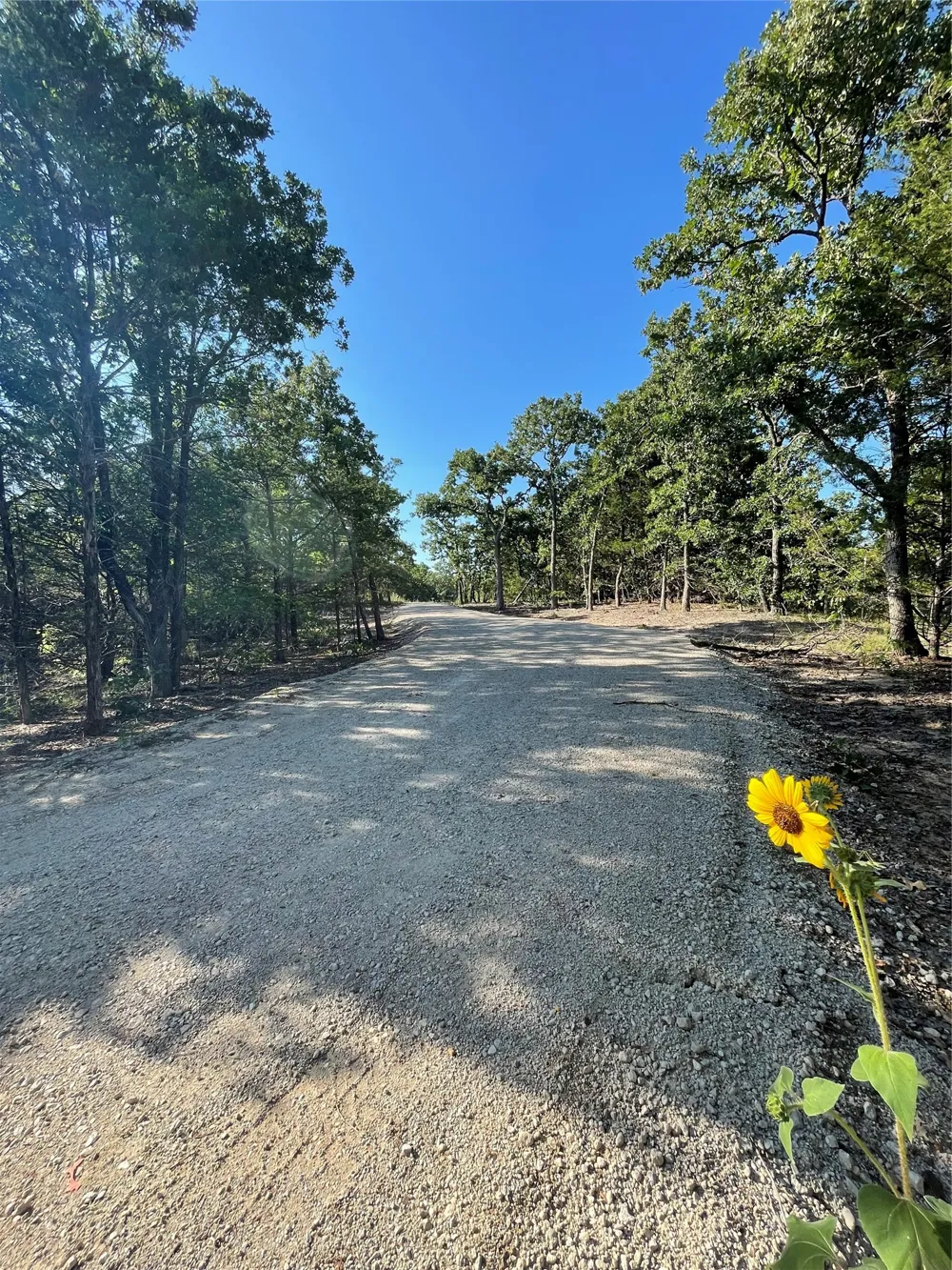 208 Red Top Road Valley View, TX 76272
