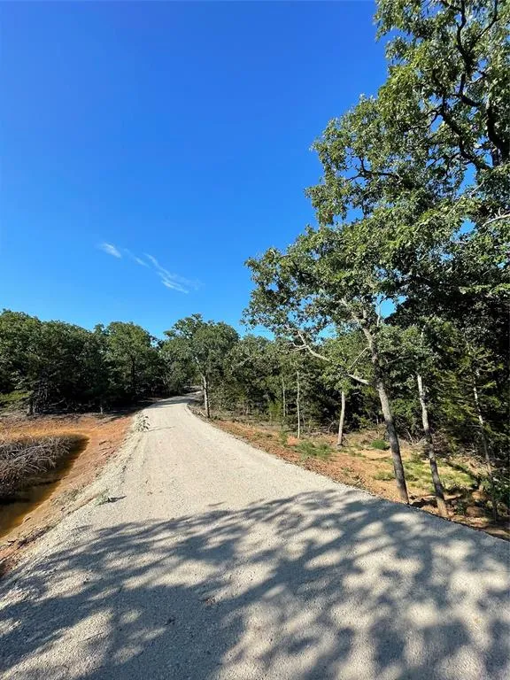 208 Red Top Road Valley View, TX 76272
