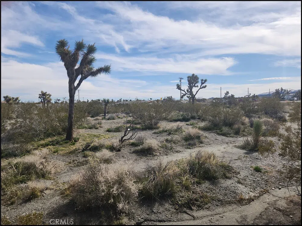 Duncan Road Pinon Hills, CA 92372