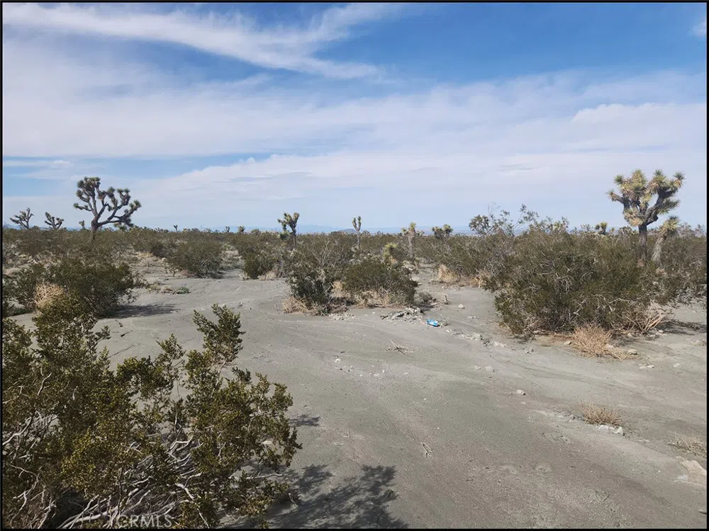 Duncan Road Pinon Hills, CA 92372