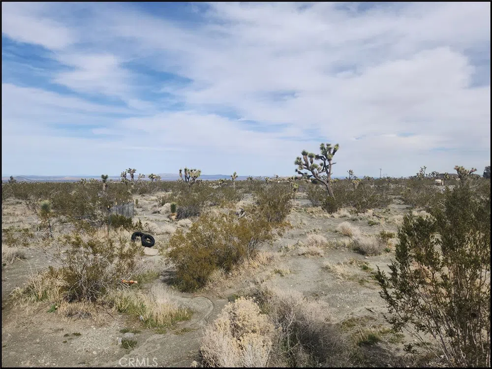 Duncan Road Pinon Hills, CA 92372