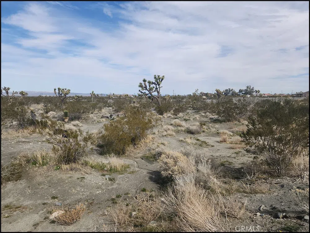 Duncan Road Pinon Hills, CA 92372