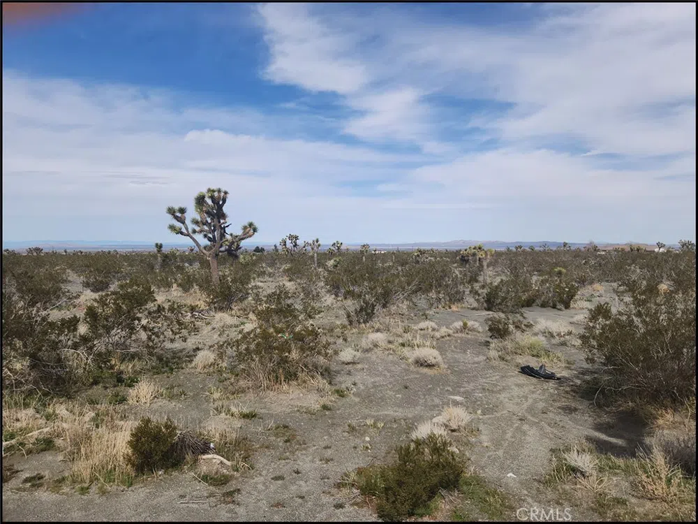 Duncan Road Pinon Hills, CA 92372