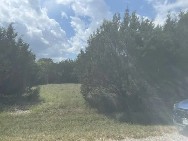 14048 Sandy Oaks Drive Whitney, TX 76692