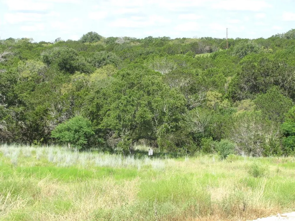 Pr 4212 Evant, TX 76525