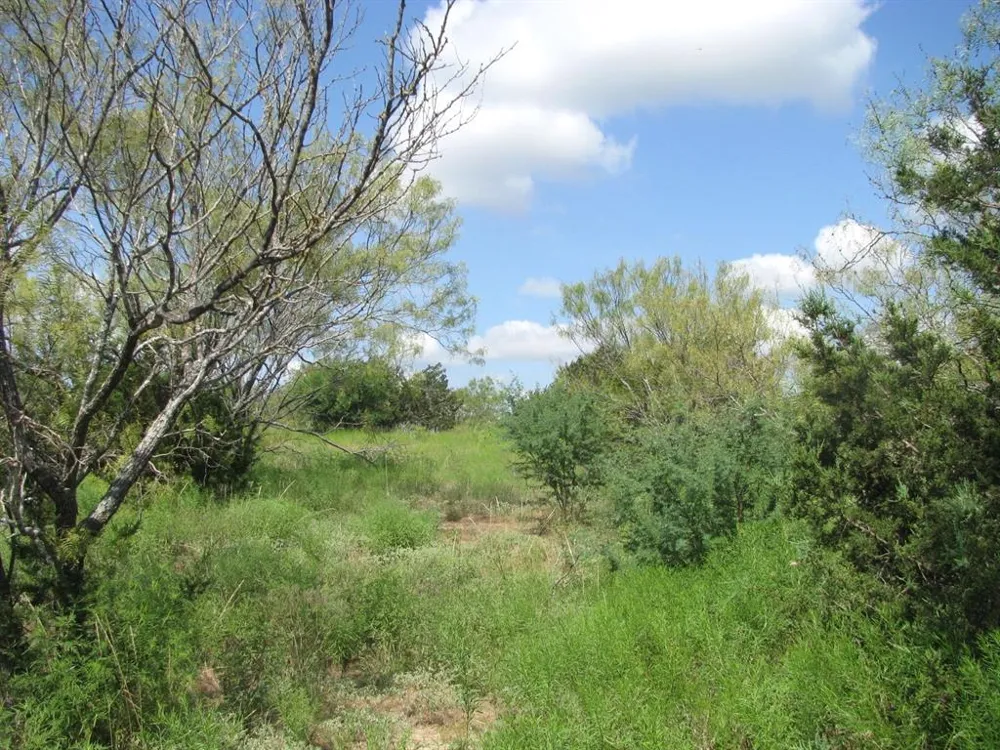 Pr 4212 Evant, TX 76525