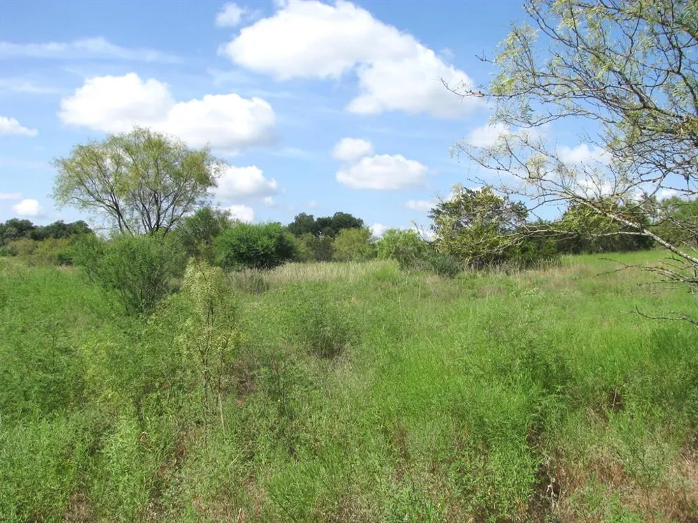 Pr 4212 Evant, TX 76525
