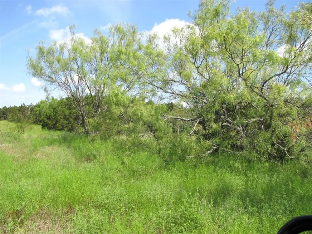 Pr 4212 Evant, TX 76525