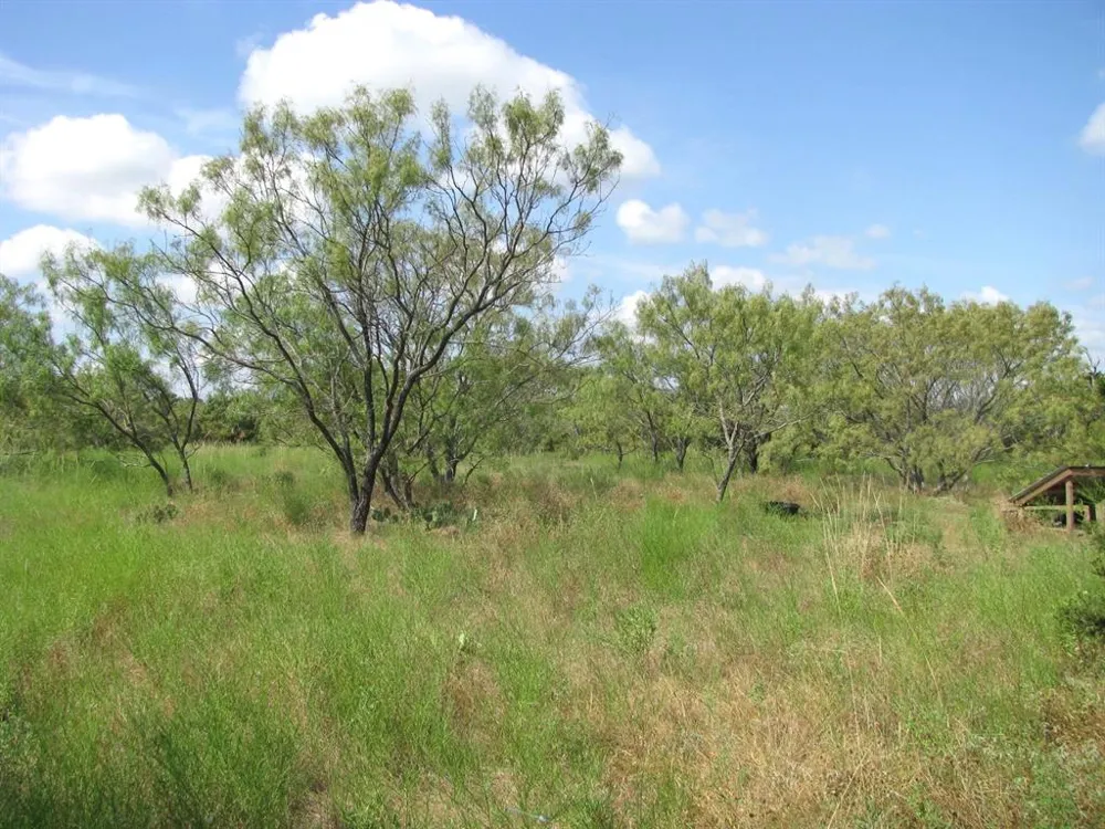 Pr 4212 Evant, TX 76525