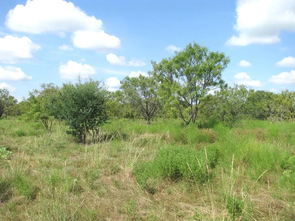 Pr 4212 Evant, TX 76525