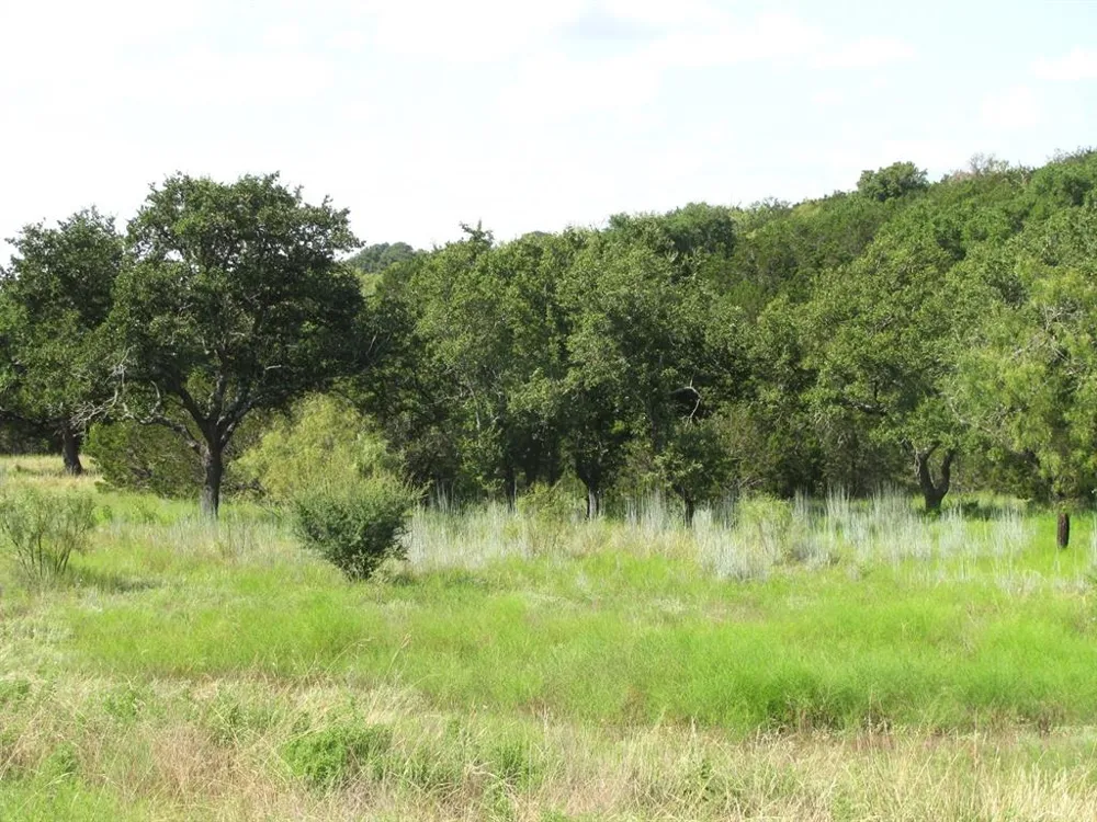 Pr 4212 Evant, TX 76525