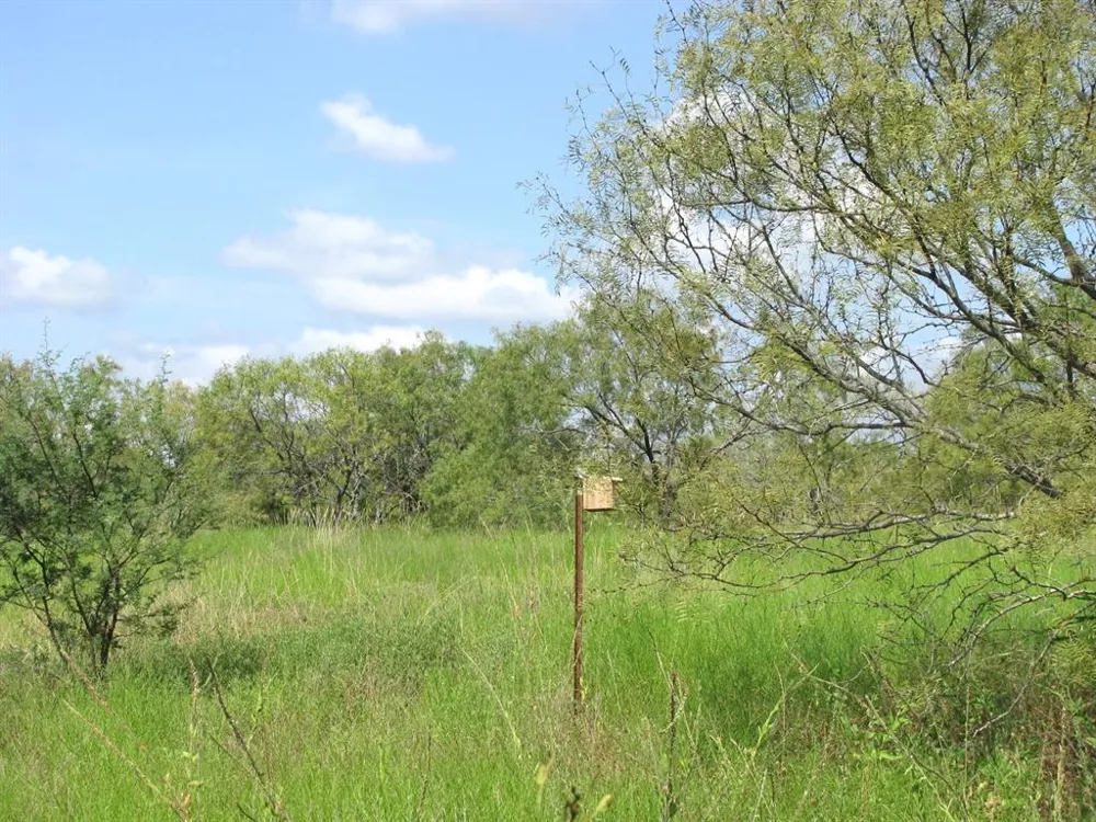 Pr 4212 Evant, TX 76525