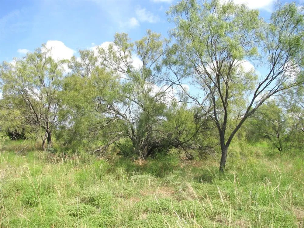 Pr 4212 Evant, TX 76525
