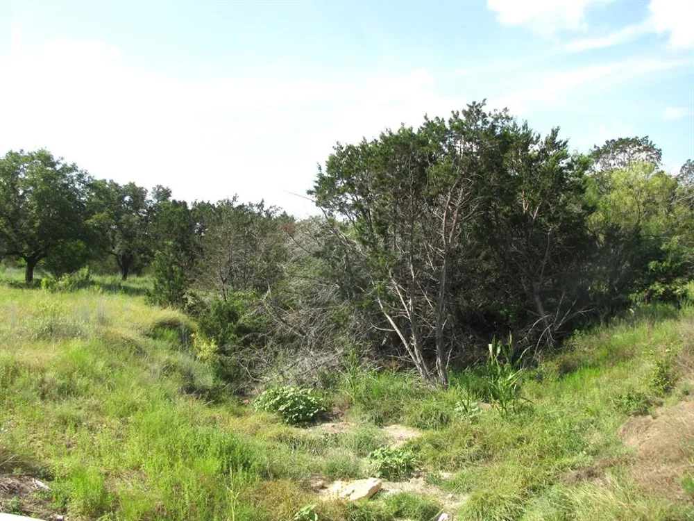 Pr 4212 Evant, TX 76525